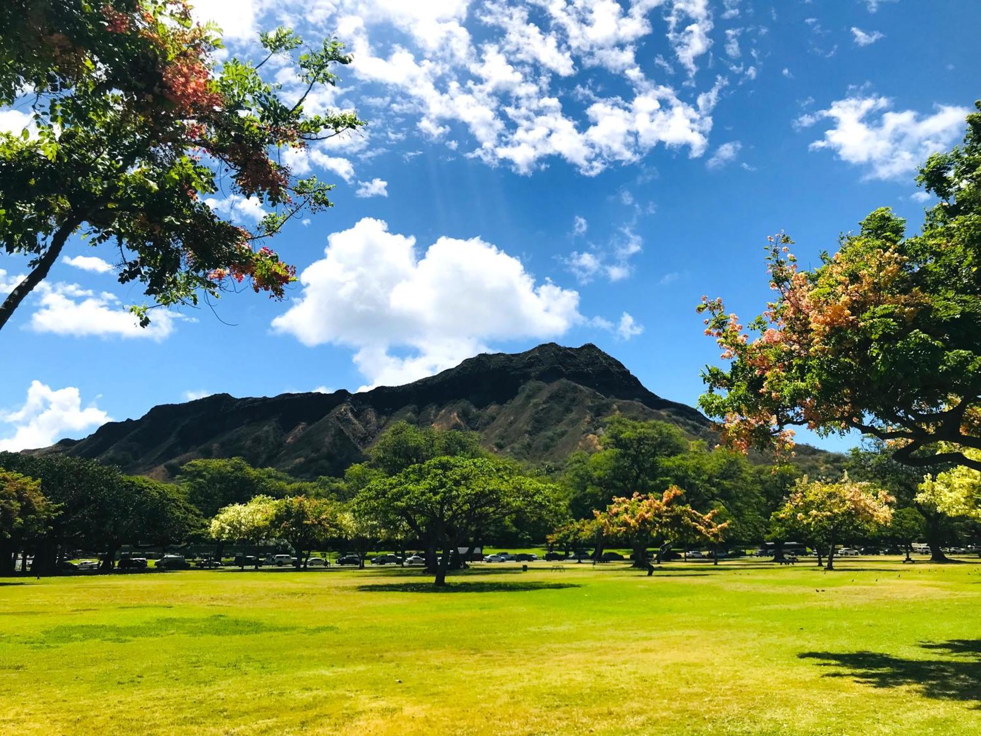 Royal Kuhio 1606 - Spacious Studio With Diamond Head City Views In The Heart Of Waikiki! Villa Honolulu Exterior photo